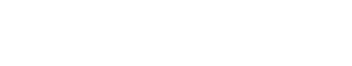 Brixlegger Wirtschaft Logo weiß